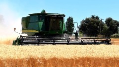 Powiat elbląski. Pijany mężczyzna kierował kombajnem – miał 2,6 promila alkoholu.