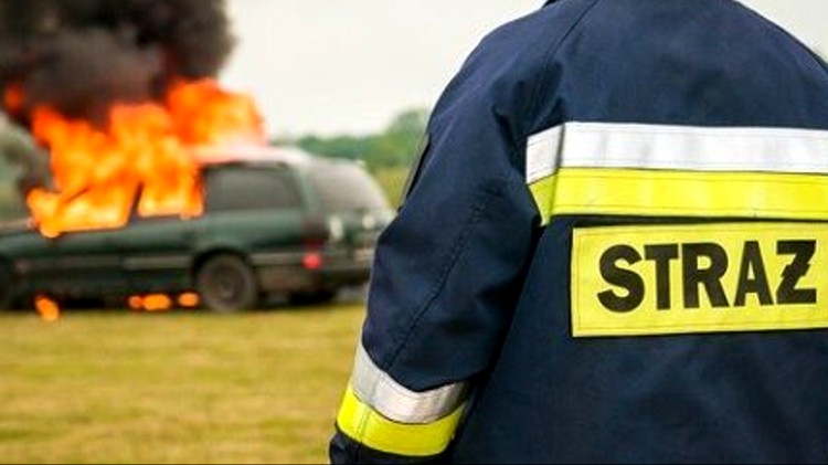 Pożar samochodu, kolizja i przewrócone drzewa – tygodniowy raport…