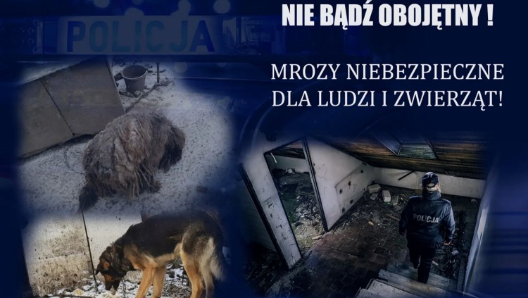 Mrozy niebezpieczne dla ludzi i zwierząt. Nie bądź obojętny - apelują…