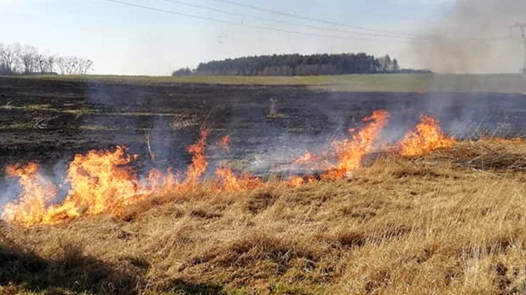 Coraz więcej pożarów traw w powiecie – tygodniowy raport malborskich…