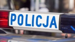 Chciała kupić szczeniaka - straciła pieniądze.