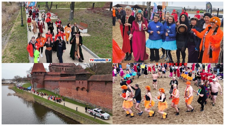 Pierwszy Zlot Morsów w Malborku – rycerska przygoda z wielkim sercem.…