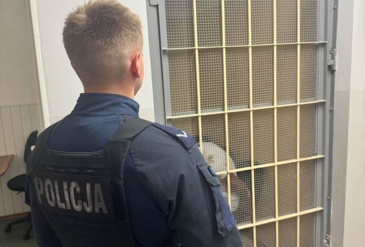 Nie zatrzymał się do kontroli i zaczął uciekać. Policjanci szybko…