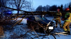 Drzewo spadło na osobówkę – weekendowy raport malborskich służb mundurowych.
