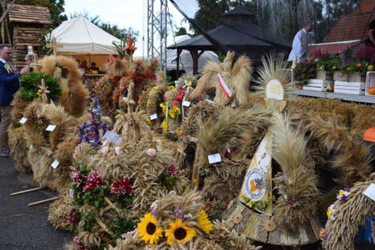 Odznaczenia dla zasłużonych rolników, sukces sołectwa Kmiecin, czyli…