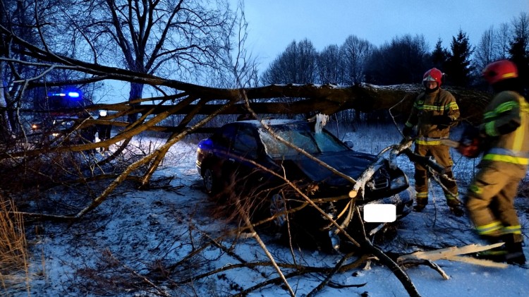 Drzewo spadło na osobówkę – weekendowy raport malborskich służb…