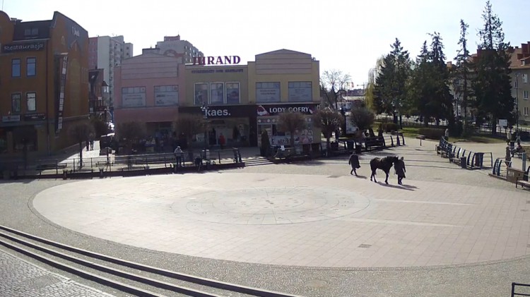 Malbork. Koń uciekł ekipie filmowej i biegał po centrum miasta. Zobacz…