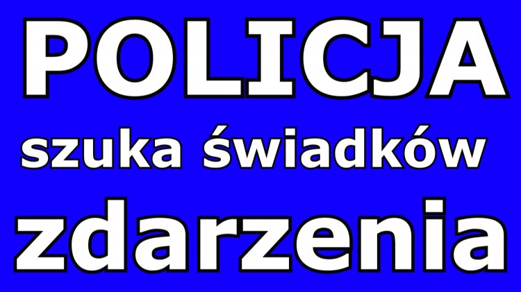 Malbork. Policjanci poszukują świadków kradzieży sadzonek kwiatów…