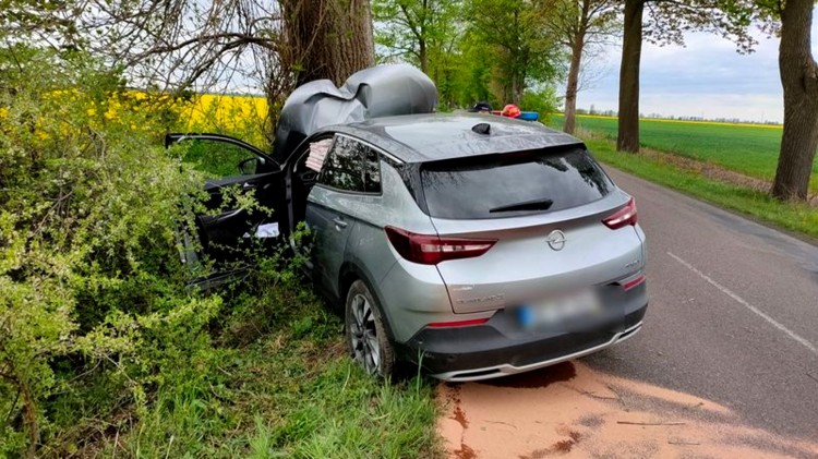 Lichnowy. Pijany kierowca sprawcą kolizji – jazdę zakończył na drzewie.…
