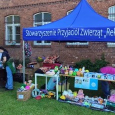 Rekordowa zbiórka dla REKSa podczas 8. edycji festynu charytatywnego…
